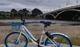 桂林单车爆料最新消息,悲剧背后引关注