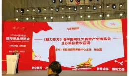 山西网红爆料新闻事件,揭秘背后真相